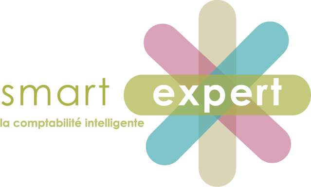 logo smart expert
